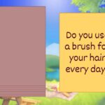 Ceramic Coating Hair Brush