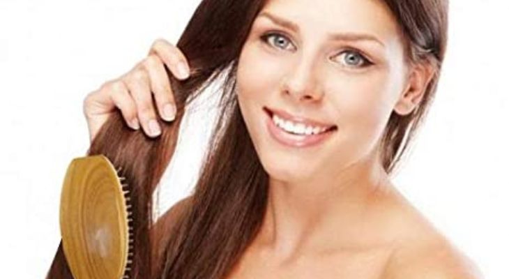 20 Best Brush For Damaged Hair [2023] - Curee